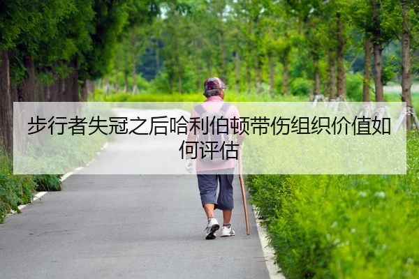bu-xing-zhe-shi-guan-zhi-hou-ha-li-bo-dun-dai-shang-zu-zhi-jia-zhi-ru-he-ping-gu-2-978.jpg