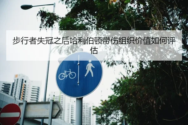 步行者失冠之后哈利伯顿带伤组织价值如何评估