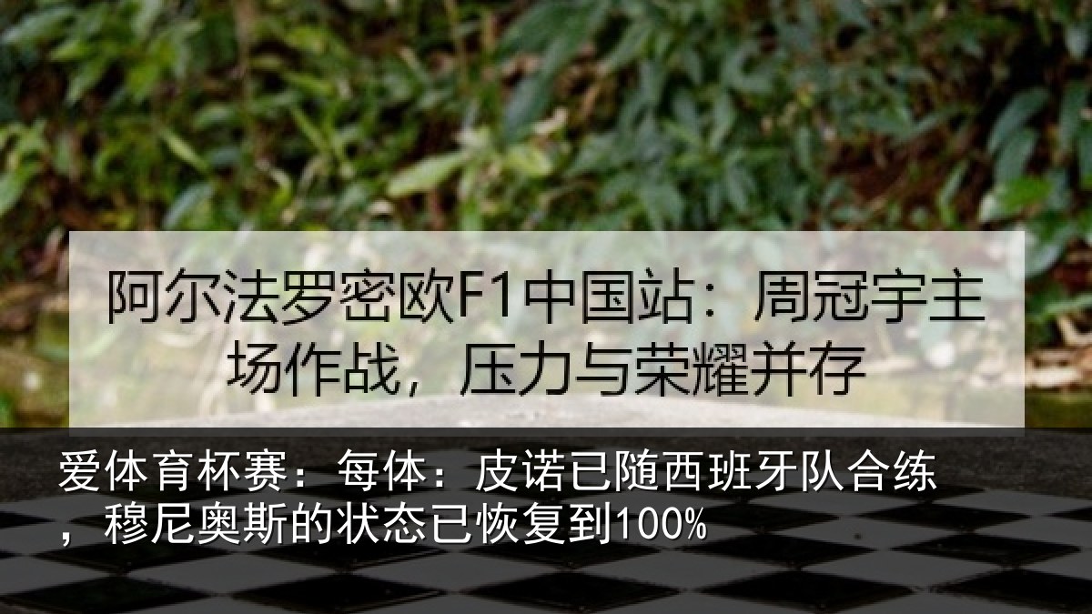 爱体育杯赛：每体：皮诺相关情况，穆尼相关情况到100%