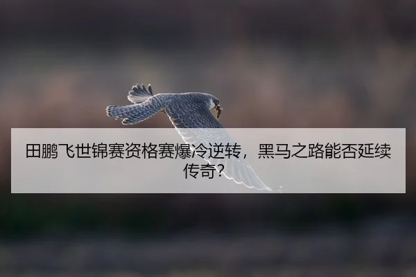 tian-peng-fei-shi-jin-sai-zi-ge-sai-bao-leng-ni-zhuan-hei-ma-zhi-lu-neng-fou-yan-xu-chuan-qi-2-393.jpg